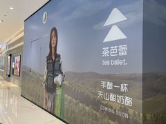 -首开·龙湖成都西宸天街