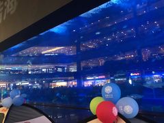 -成都浩海立方海洋公园