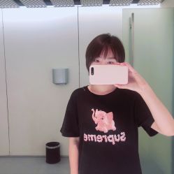 -大象造型