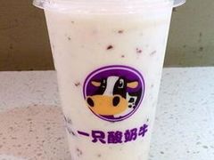 -一只酸奶牛(八一路店)