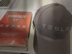 -TESLA 特斯拉(郑州正弘城体验店)