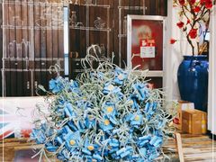 -hallch好吃餐厅(奥体中心店)