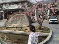 -品湘宴·湖南宁乡菜