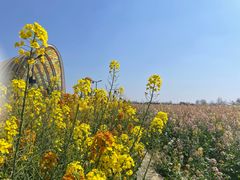 -中国天府农业博览园