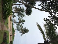 普吉岛爱维斯塔度假村-普吉岛卡塔阿维斯塔诺富特酒店度假村