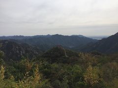 -大岭沟猕猴桃谷风景区