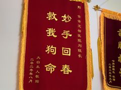 -乖乖宠物医院·猫科·急重症中心(车站北路分院)