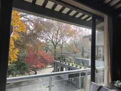 -山外山菜馆(玉泉路店)