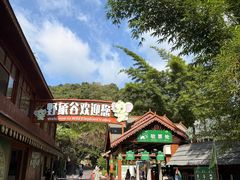 -野象谷景区