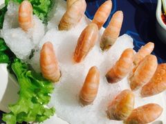 -名都小荷塘养生火锅概念店(概念店嫩江店)