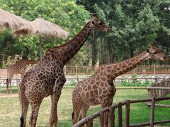 -北京野生动物园