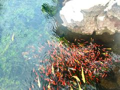 -水磨沟公园
