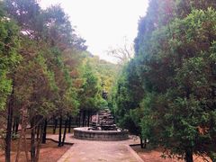 -窦大夫祠