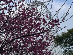 -祥源·阜阳生态乐园