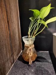 -香秀空间科技抗衰·美容中心
