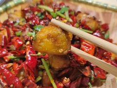 -杨氏青龙虾·羊蝎子(珠江路店)