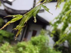 -南京民俗博物馆(甘熙故居)