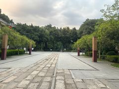 -荔湾湖公园