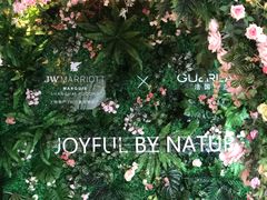 -JW酒廊 JW Lounge(上海鲁能JW万豪侯爵酒店)