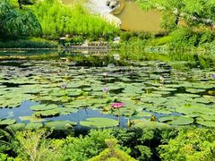 -云溪植物园