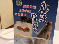 -松涛大酒楼