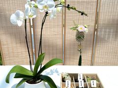 -茹·pure vegan(博华广场店)