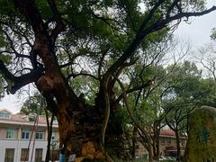 周边环境-中国人民解放军联勤保障部队第九〇三医院(九里松院区)