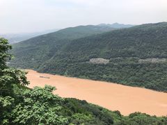 -铁山坪森林公园