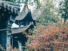 -碑林公园