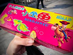 -召稼楼古镇
