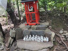 -野宫神社
