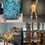 ❗️网红天目里不用人挤人了👀