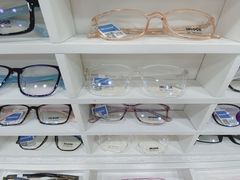 -三叶眼镜城批发市场(上海火车站店)