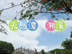 -杨梅坑