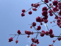 -昆明动物园