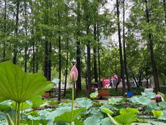 -大宁公园