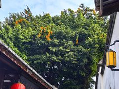 -三坊七巷历史文化街区