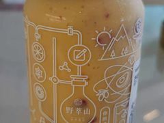 -野萃山·潮汕厚果汁(十亩地店)