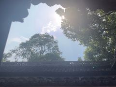 -豫园