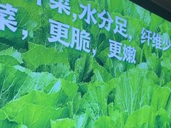 -望蓉城·古法酸菜鱼·川小馆(金桥国际店)
