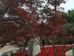 -济南国际园博园