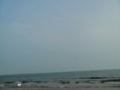 -京秀缘蒸汽海鲜农家菜大馅蒸饺