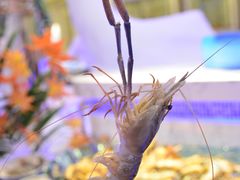-澜悦港海鲜体验主题餐厅
