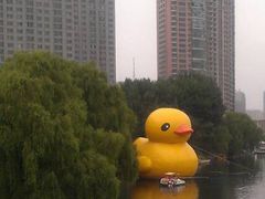 11-沈阳南湖公园