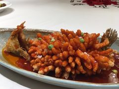 淮味松鼠鳜花鱼-扬州狮子楼·非遗淮扬菜(总店)