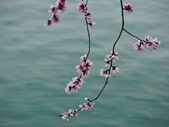 -颐和园