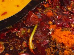 -朱光玉火锅馆(正弘城店)