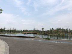 -白鹭湾湿地公园