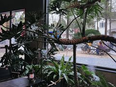 -J Create城市露营咖啡·简餐·宠物(上海动物园店)