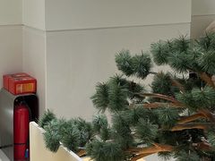 -喜茶(广州保利中环店)